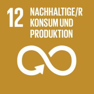 Grafik „Nachhaltiger Konsum und Produktion“, Ziel Nr. 12 Nachhaltiger Entwicklung der Vereinten Nationen
