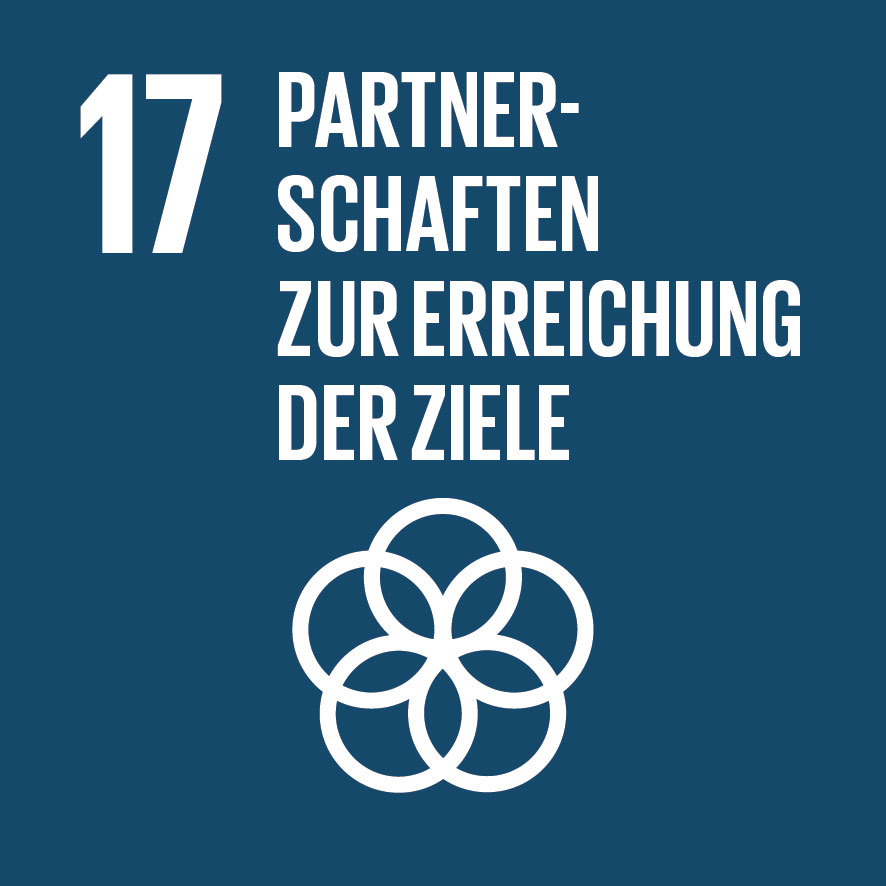 Grafik „Partnerschaften zur Erreichung der Ziele“, Ziel Nr. 17 Nachhaltiger Entwicklung der Vereinten Nationen
